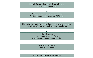 /images/berita/tumbnail/Screenshot 2026-03-10 140936.png